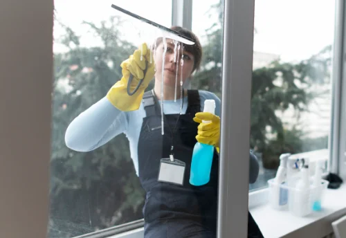 Nettoyage de vitres intérieures et extérieures à Ravenel